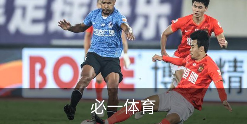 必一体育概况